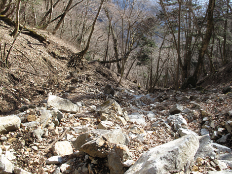 20160218hike (537)